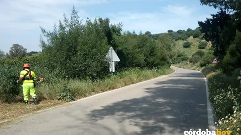 Podas y desbroces en carreteras de la Junta en C&oacute;rdoba, en una imagen de archivo