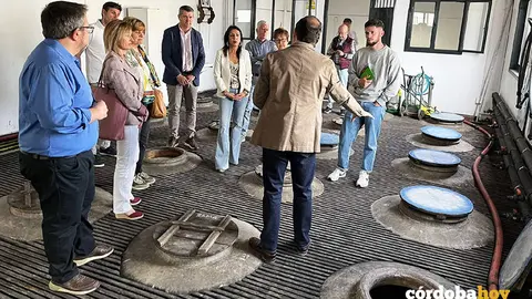 Visita a las Bodegas Doblas, de Moriles