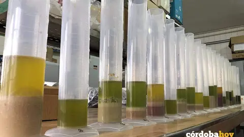 Aceites utilizados en el desarrollo de un m&eacute;todo r&aacute;pido para determinar la estabilidad oxidativa del AOVE
