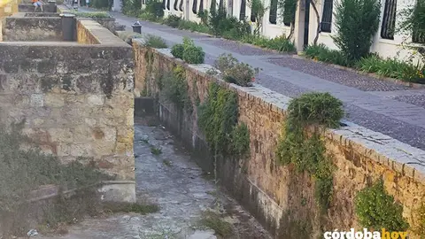 Albercas secas en el paseo de Cairu&aacute;n