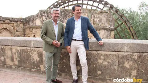 Torrico y Bellido