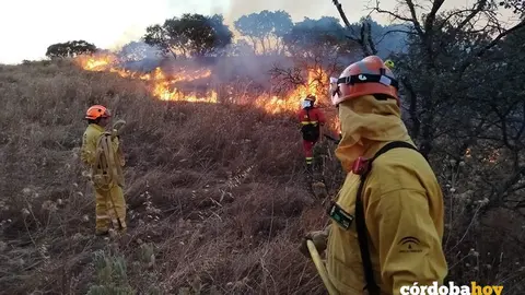 Miembros del Infoca luchando contra el fuego de Obejo FOTO GRUPO VOLUNTARIO SIETE FINCAS