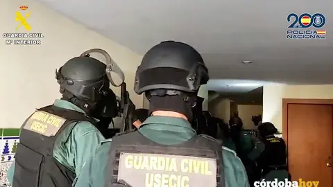 Operaci&oacute;n Mole Sauro conjunta de Polic&iacute;a Nacional y Guardia Civil contra una banda de 'alucineros'