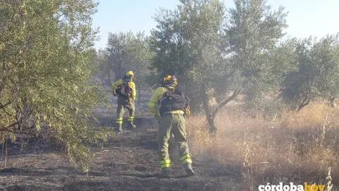 Actuaci&oacute;n del Infoca en el incendio de A&ntilde;ora FOTO PLAN INFOCA