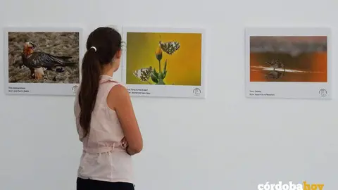 Muestra en el Aula de la Naturaleza de La Asomadilla en una imagen de archivo FOTO IMGEMA