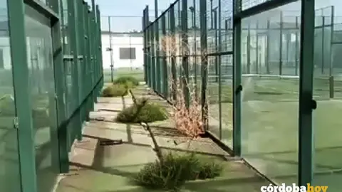 Captura de pantalla de un video vecinal sobre la situaci&oacute;n de las pistas de p&aacute;del en Parque Azahara