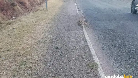 Tramo de carril-bici a Rabanales totalmente cubierto de arena FOTO ANDALUC&Iacute;A ENTRE TOD@S