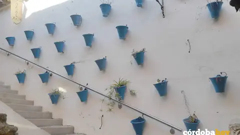 Las macetas secas del del Zoco FOTO ANDALUC&Iacute;A ENTRE TOD@S