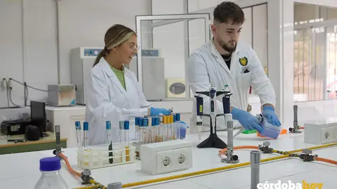 Pr&aacute;cticas en Formaci&oacute;n Profesional FOTO JUNTA DE ANDALUC&Iacute;A