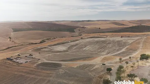 Terrenos ya desbrozados para empezar a construir la f&aacute;brica de cobre verde de Cunext FOTO GRUPO CUNEXT