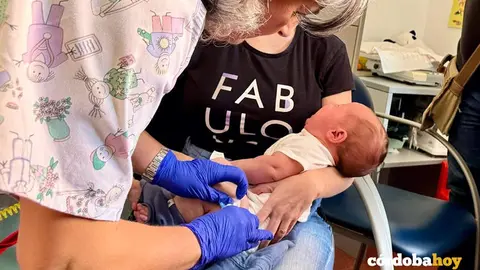 Bebe