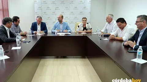 Encuentro de Enrique Santiago con alcaldes de IU de la Campi&ntilde;a Sur