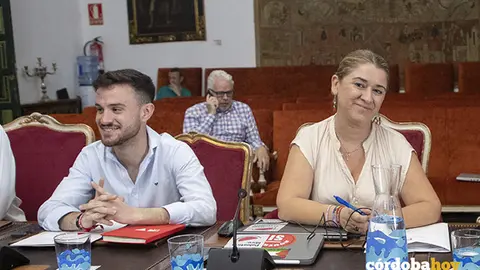 La bancada de IU en la Diputaci&oacute;n, en una imagen de archivo