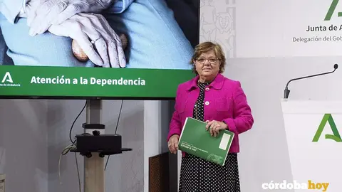 atenci&oacute;n a la dependencia