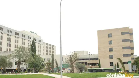 REINA SOFIA 8
