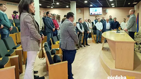 Pleno de la Mancomunidad Campi&ntilde;a Sur FOTO CAMPI&Ntilde;A SUR