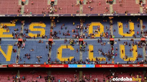 Futbol