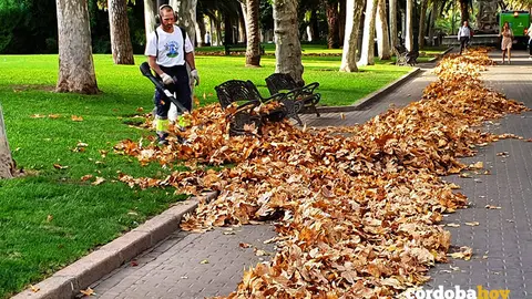 Oto&ntilde;o en la capital