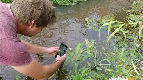 Registrando con una aplicaci&oacute;n de ciencia ciudadana la planta acu&aacute;tica invasora Aponogeton distachyos en B&eacute;lgica FOTO ETIENNE BRANQUART