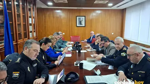 Junta Local de Seguridad