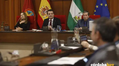 El alcalde, Jos&eacute; Mar&iacute;a Bellido, en el Pleno de hoy FOTO PATRICIA CACHINERO