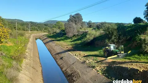 Ecologistas denuncia el uso de herbicida en los m&aacute;rgenes del canal de riego de Hornachuelos