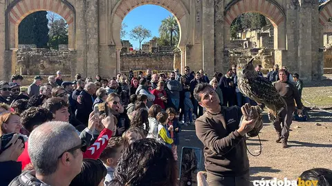 Actividad con aves rapaces en Medina Azahara FOTO LA MIRONERA