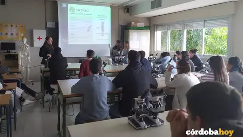 aula