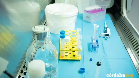 laboratorio