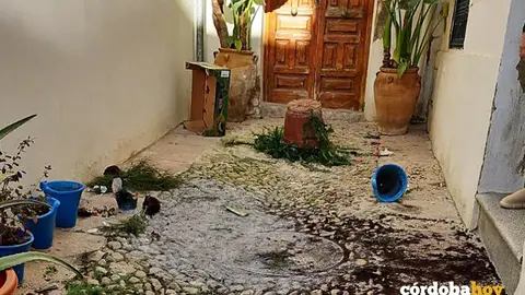 Estado del estado de la Calleja de las Flores tras el acto vand&aacute;lico FOTO NODO CORDUBA