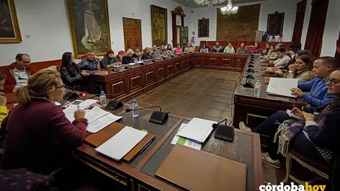 Mesa de Trabajo LGTBI de la Diputaci&oacute;n de C&oacute;rdoba  FOTO DIPUTACI&Oacute;N DE C&Oacute;RDOBA