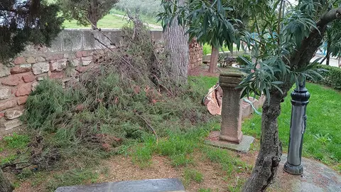 Ramas ca&iacute;das por la borrasca en el Santuario de Nuestra Se&ntilde;ora de la Estrella Coronada FOTO AYUNTAMIENTO DE VILLA DEL R&Iacute;O
