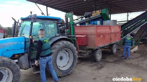 Operaci&oacute;n aceitunas