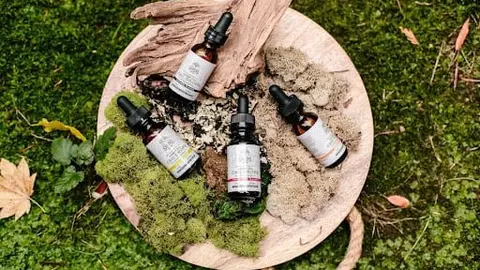  &iquest;Qu&eacute; es el CBD y c&oacute;mo act&uacute;a en el cuerpo humano? 
