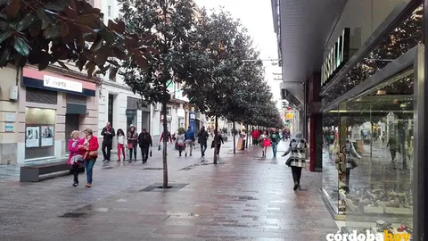 Comercios de la zona Centro de C&oacute;rdoba capitales una imagen de archivo FOTO EUROPA PRESS