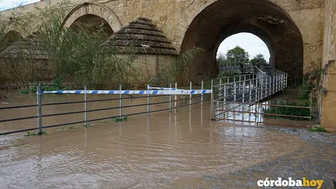 Crecida del r&iacute;o Guadalquivir por las lluvias y en parte por los desembalses