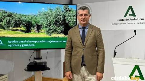 AYUDAS INCORPORACI&Oacute;N