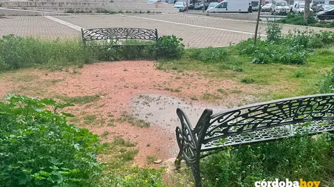 Estado actual del barrio de Las Moreras FOTO ANDALUC&Iacute;A ENTRE TOD@S