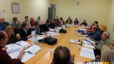 Plenario del Consejo del Movimiento Ciudadano de C&oacute;rdoba, en una imagen de archivo FOTO CMC