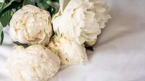  Decoraci&oacute;n con peonias flores: ideas hogar y eventos 