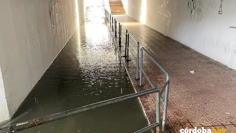 Pasaje subterr&aacute;neo de Villarrubia inundado de agua con las borrascas de marzo, en una imagen de archivo FOTO HACEMOS C&Oacute;RDOBA