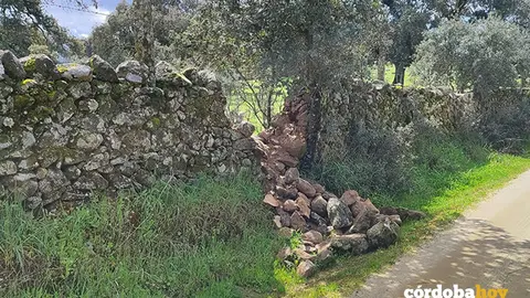 Murete derribado en Azuel (Carde&ntilde;a)