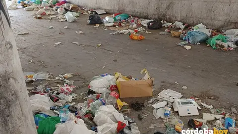 Acumulaci&oacute;n de basura en Las Palmeras FOTO EL DESPERTAR DE LAS PALMERAS