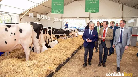 Feria Agroganadera
