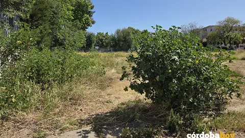 Aspecto del barrio de El Arc&aacute;ngel en la Fuensanta, FOTO VOX