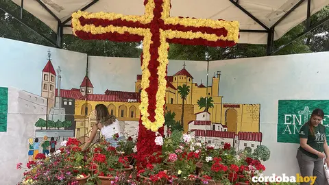 Cruz de Mayo de 2025