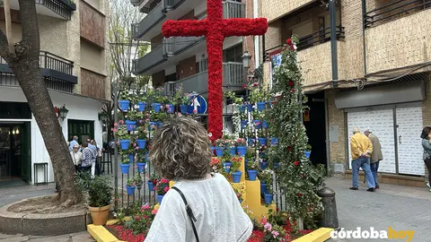 Cruces de la pasada edici&oacute;n de 2025, en una imagen de archivo