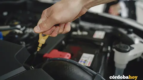 motor