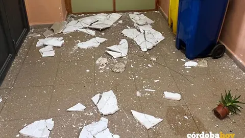 Desprendimientos en el CEIP El Parque de Palma del R&iacute;o FOTO IU