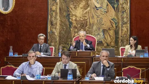 PLENO DIPUTACI&Oacute;N
